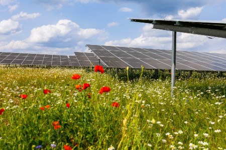 BELECTRIC commissions 96-MW solar farm in Kolitzheim