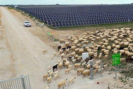 Iberdrola and Ingeteam to hybridise existing solar plants with new storage systems