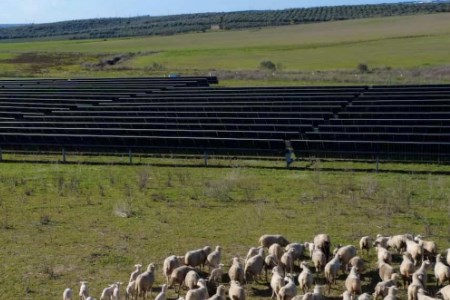 Fundici solar farm energised and commissioned in Spain