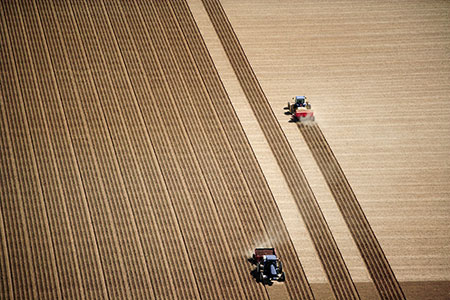 European Energy to research agrivoltaic potential